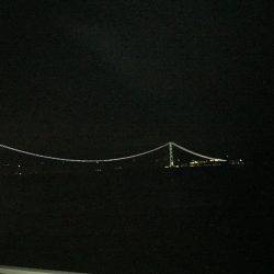 ラストケンサキ