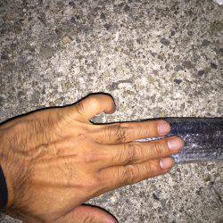 台風前、太刀魚調査