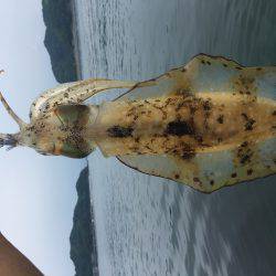 宇佐ボートエギング