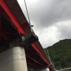 たにもっさん。空っぽの冷蔵庫をチヌでいっぱいにする。