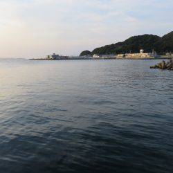 アジ狙いも不発