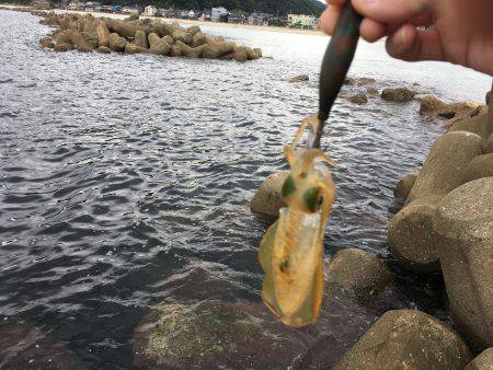 姪の初エギング