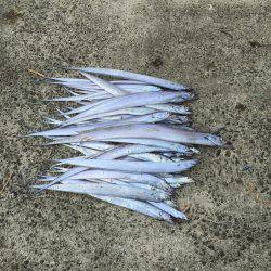 びっくりです。