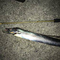 オンスタックル杯出場