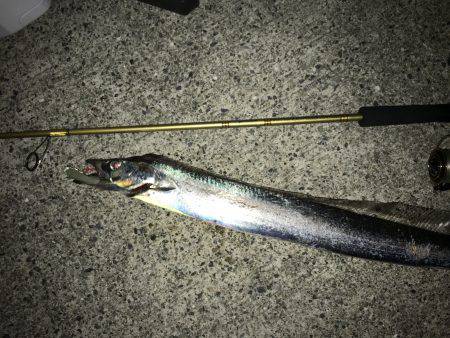 オンスタックル杯出場