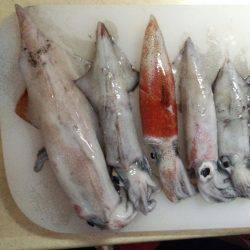 ケンサキビッグサイズ!