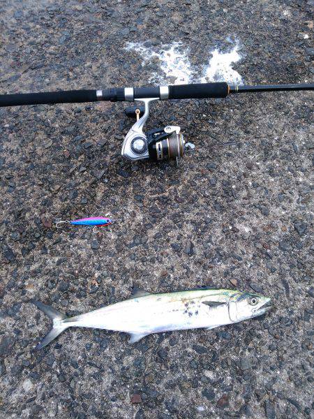 雨天沖堤釣行　爆!