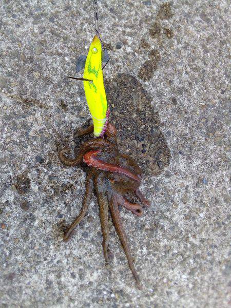 お父さんお母さんを連れてきて！