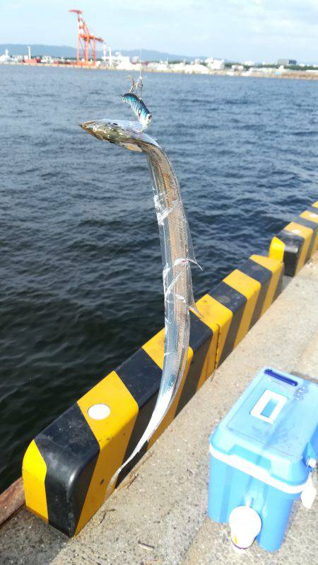 ショアジギング！