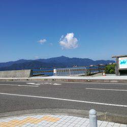 サヨリがやってきました