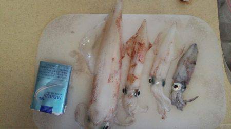 ビックサイズケンサキ！！