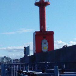 台風一過、荒波の中でもタコは釣れました。