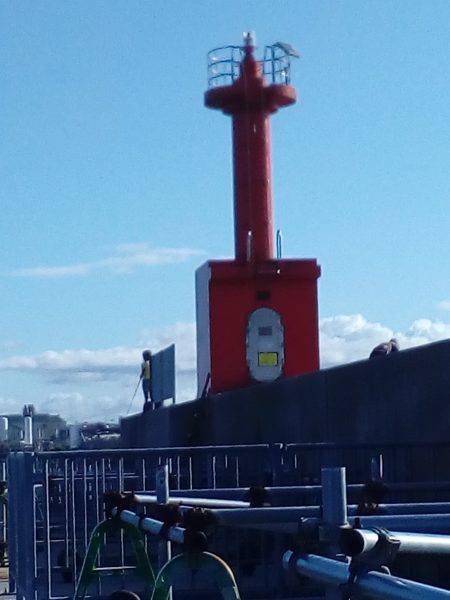 台風一過、荒波の中でもタコは釣れました。