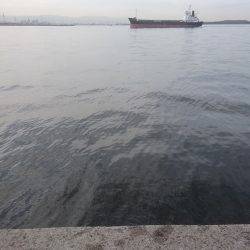 さばばばばばば