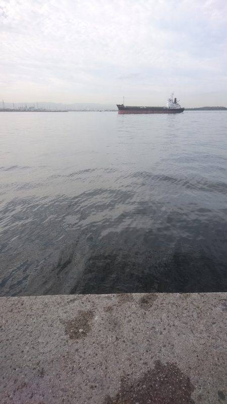 さばばばばばば