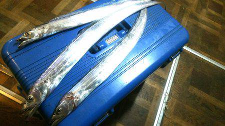 太刀魚ワインド