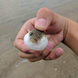 秋のキッシング