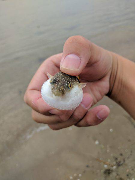 秋のキッシング