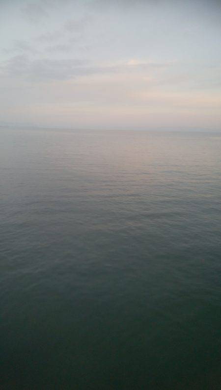 いか2杯釣れました