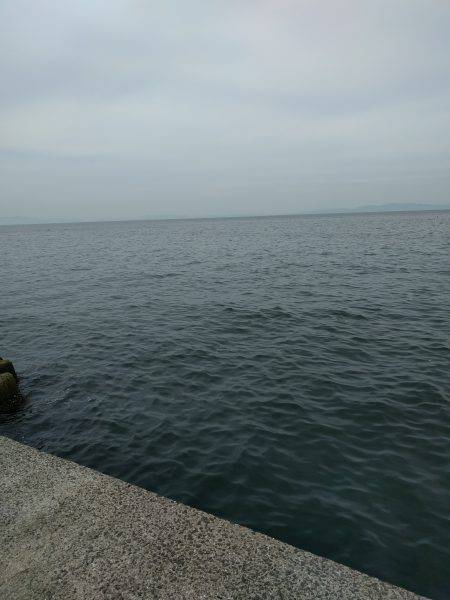 まさかのハマチ