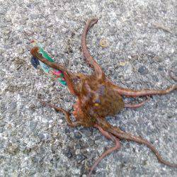 天気は最高なんだがなぁ~(  ̄ー ̄)