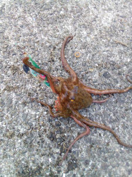 天気は最高なんだがなぁ~(  ̄ー ̄)