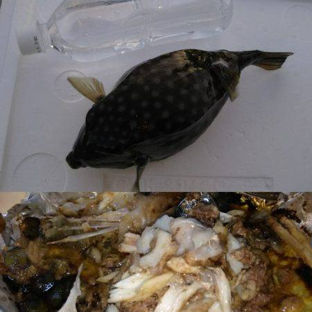 まさかの…⁉️