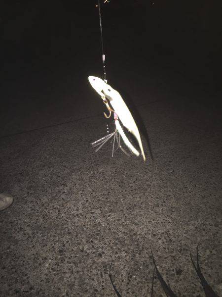 太刀魚リベンジ