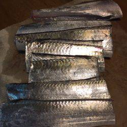 太刀魚ウキ釣り