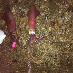 会社帰りプチエギング