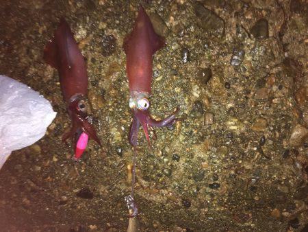 会社帰りプチエギング