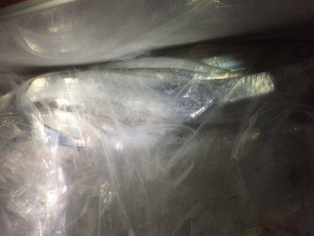 ライトウキ笑っ