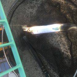 ちょっとだけワインド