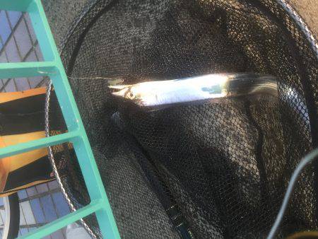 ちょっとだけワインド