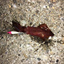 台風は嫌いです。