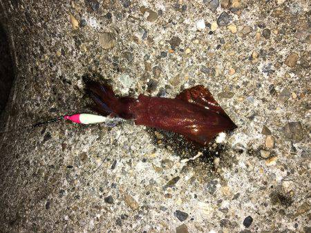 台風は嫌いです。