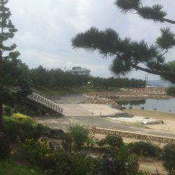 ドラゴン(たぶん)落とす…。