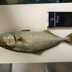 エギンガーたちの横で笑