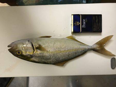 エギンガーたちの横で笑