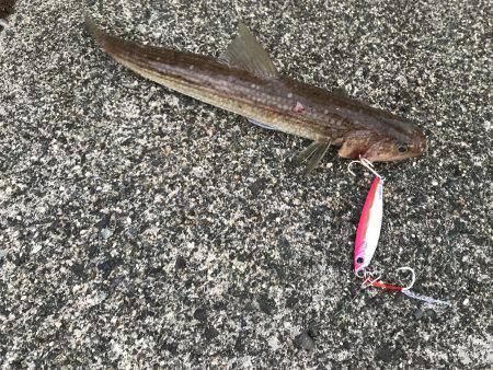 夕日に照らされながら