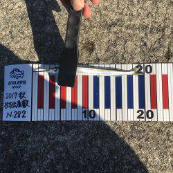 タチウオして帰ればよかったー