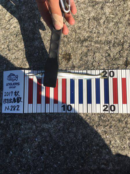 タチウオして帰ればよかったー