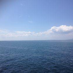 ギリはまちゃん2