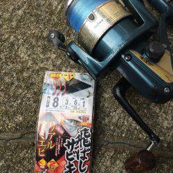 アジ釣り⑮ 久しぶりのアジ