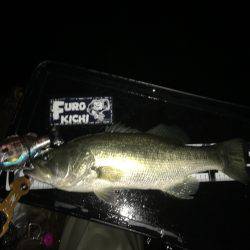 南湖フローター釣行