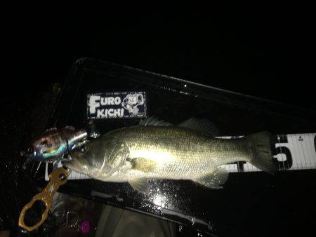 南湖フローター釣行