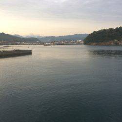 アジ釣り⑯ サヨリ釣りは今年初