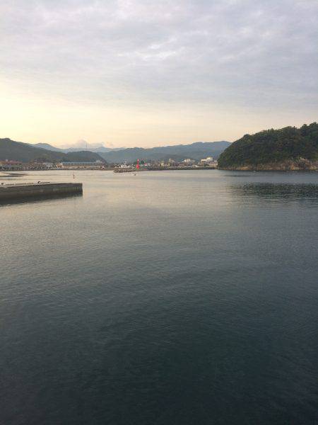 アジ釣り⑯ サヨリ釣りは今年初