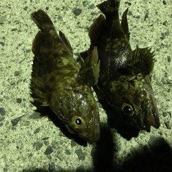 台風前にちょろっと