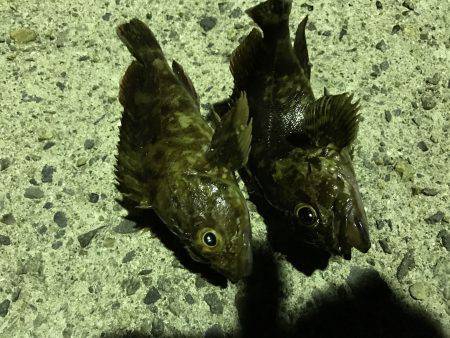 台風前にちょろっと